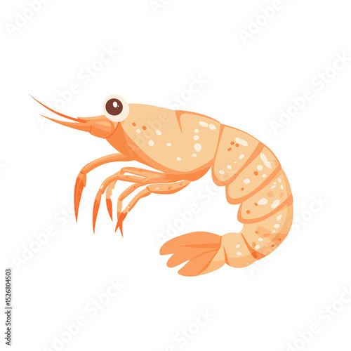 Cartoon-style shrimp illustration