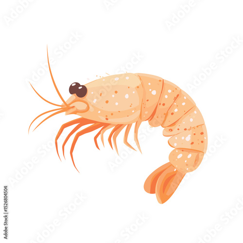 Cartoon-style shrimp illustration