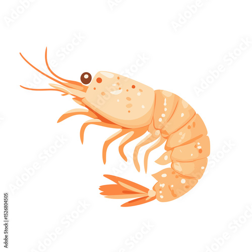 Cartoon-style shrimp illustration