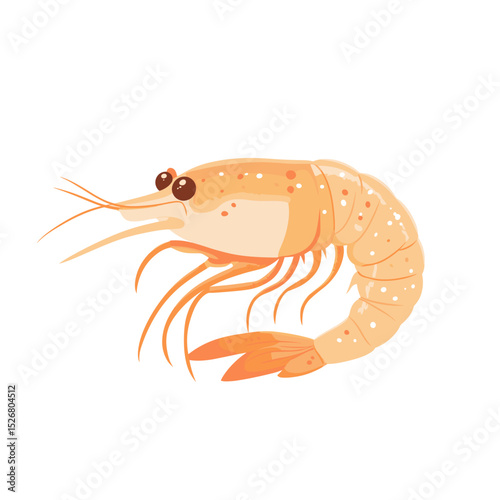 Cartoon-style shrimp illustration