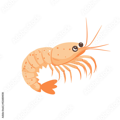 Cartoon-style shrimp illustration