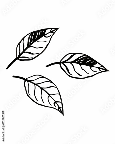 Hand-Drawn Illustration of Three Falling Leaves Nature Sketch