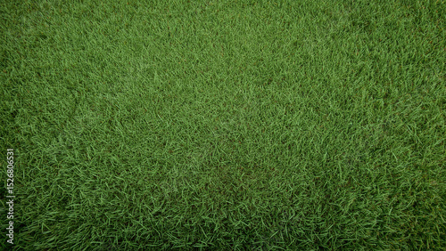 Perfectly manicured green lawn with dense natural grass texture, ideal for landscaping and background use.
