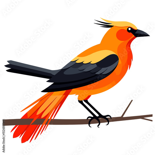 Orange Oriole Bird Illustration-Colorful Bird on Branch Vector-Beautiful Wildlife Art-Detailed Avian Design-Perfect for Nature Lovers and Bird Enthusiasts