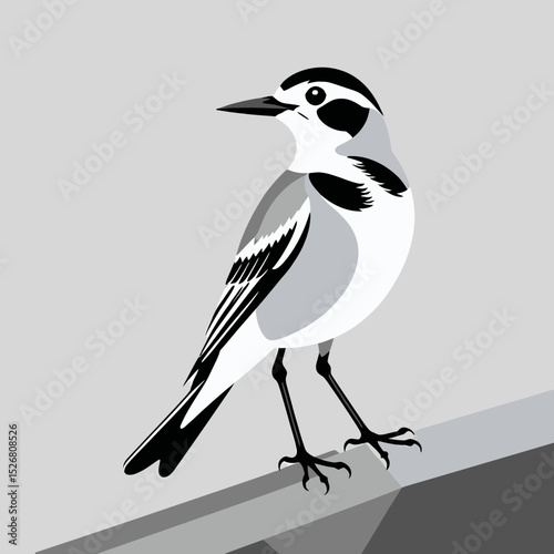 White Wagtail Bird Illustration-Minimalist Bird Art-Black and White Bird Drawing-Modern Bird Graphic-Elegant Bird Design-Vector Bird Image-Bird on a Ledge