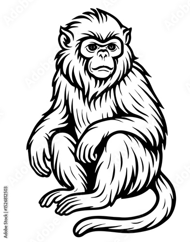 A black and white drawing of a monkey with a frowning expression