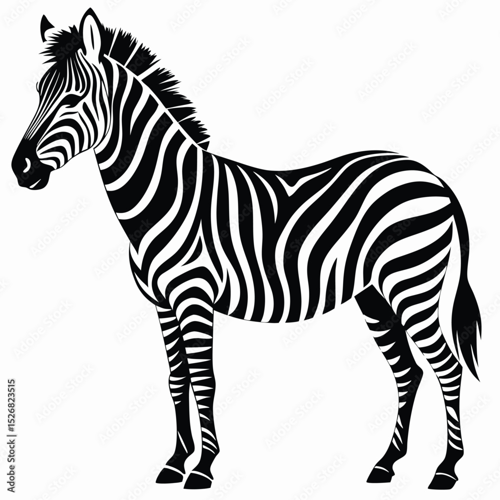 Obraz premium Black and white zebra silhouette african animal