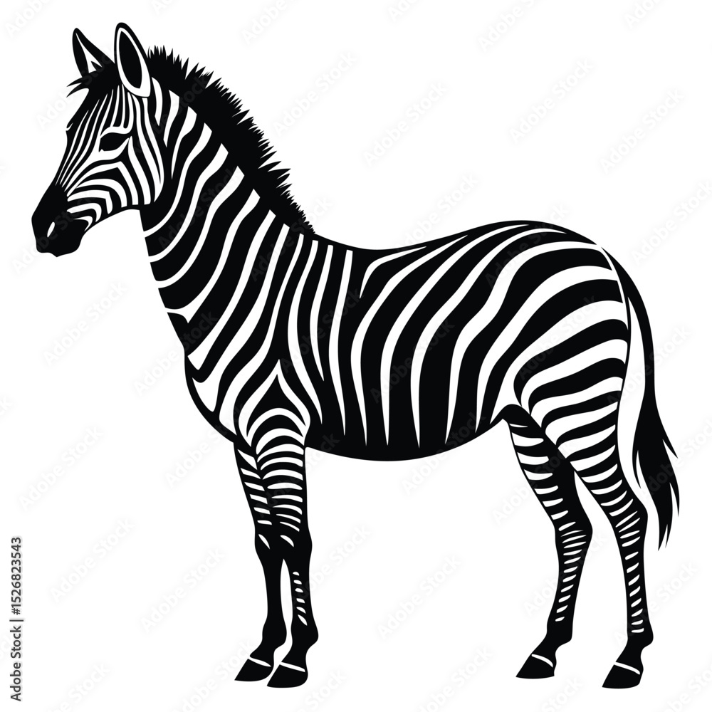 Obraz premium Majestic zebra silhouette african wildlife animal