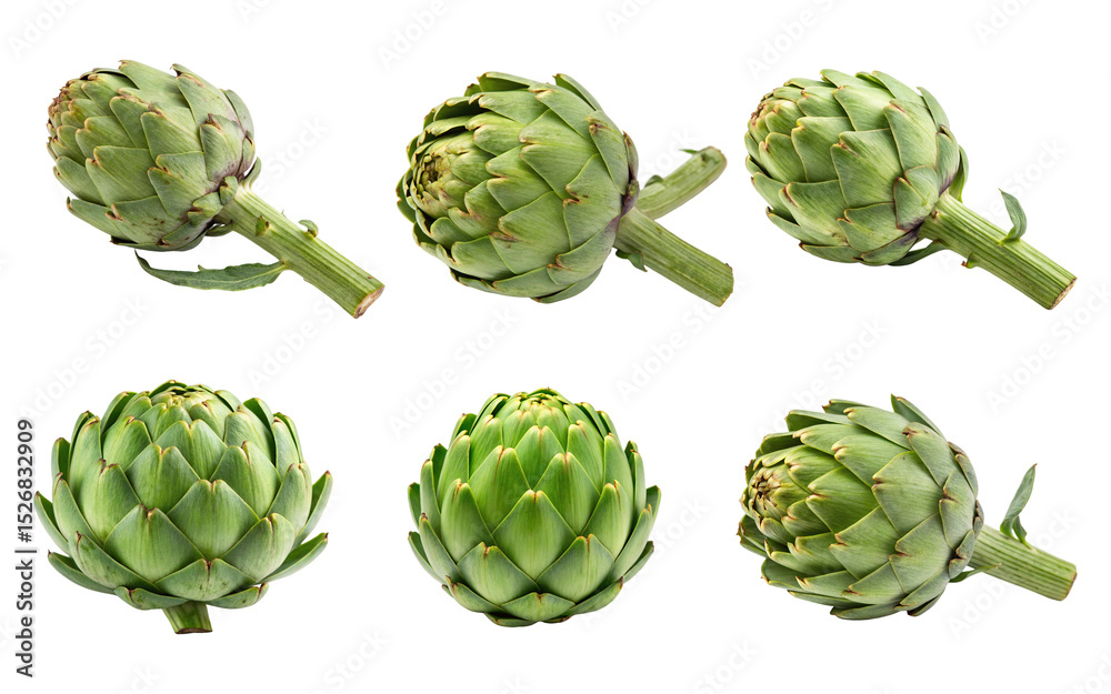 Fototapeta premium Several fresh green artichokes are isolated on transparent background in a studio shot