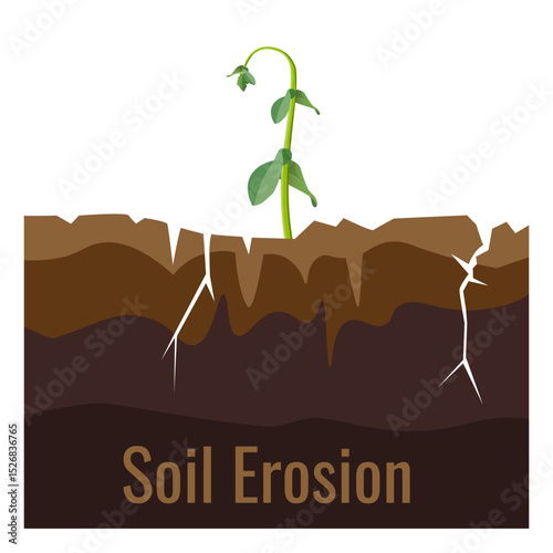 Dry cracked soil in cross-section with a withering seedling as a symbol of drought, climate change, and global warming. Vector illustration isolated on white background.