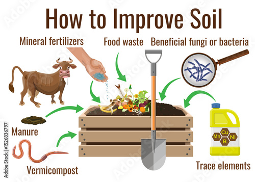Vector infographic on soil improvement. Shows compost bin with food waste, manure, fertilizers, vermicompost, trace elements, fungi, and bacteria. Promotes natural soil enrichment.