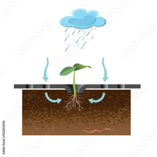Agricultural fabric covering soil with green sprout to retain moisture and allow air circulation. Vector illustration isolated on white background.