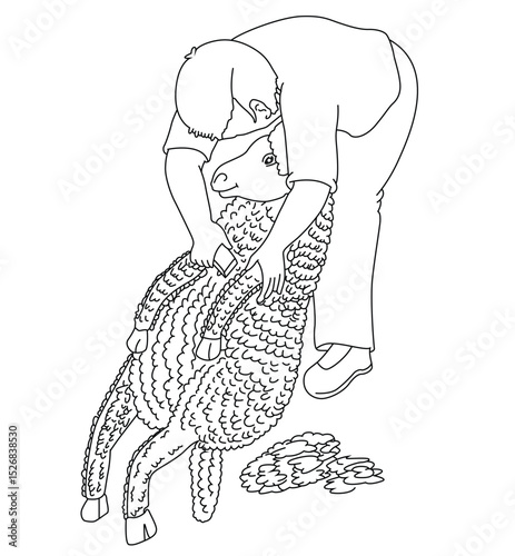 Cute cartoon hand drawn vector Shearing sheep outline.
