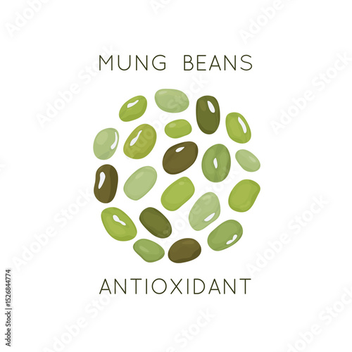 Indian mung beans trend of healthy and protein food. Concept of healthy eating and plant protein. benefits of antioxidants. Vector illustration