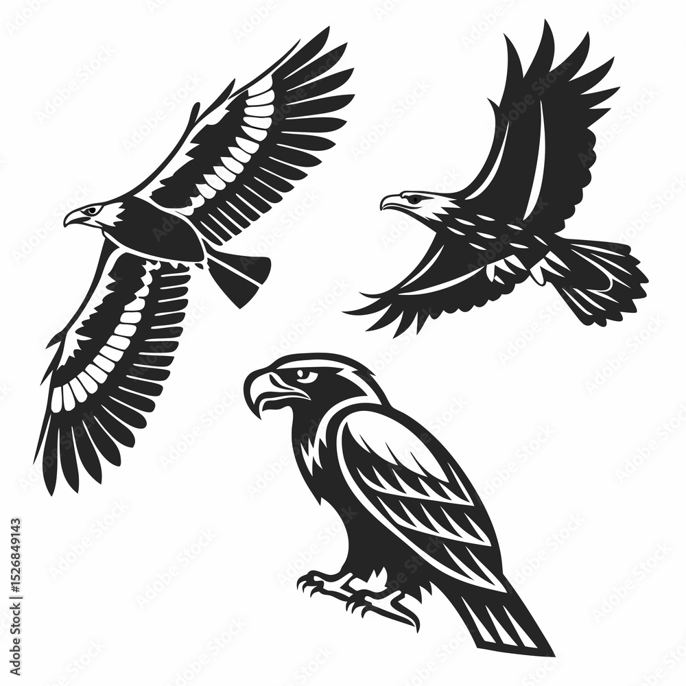 Obraz premium Majestic eagles in flight and perched powerful birds of prey black and white vector illustration