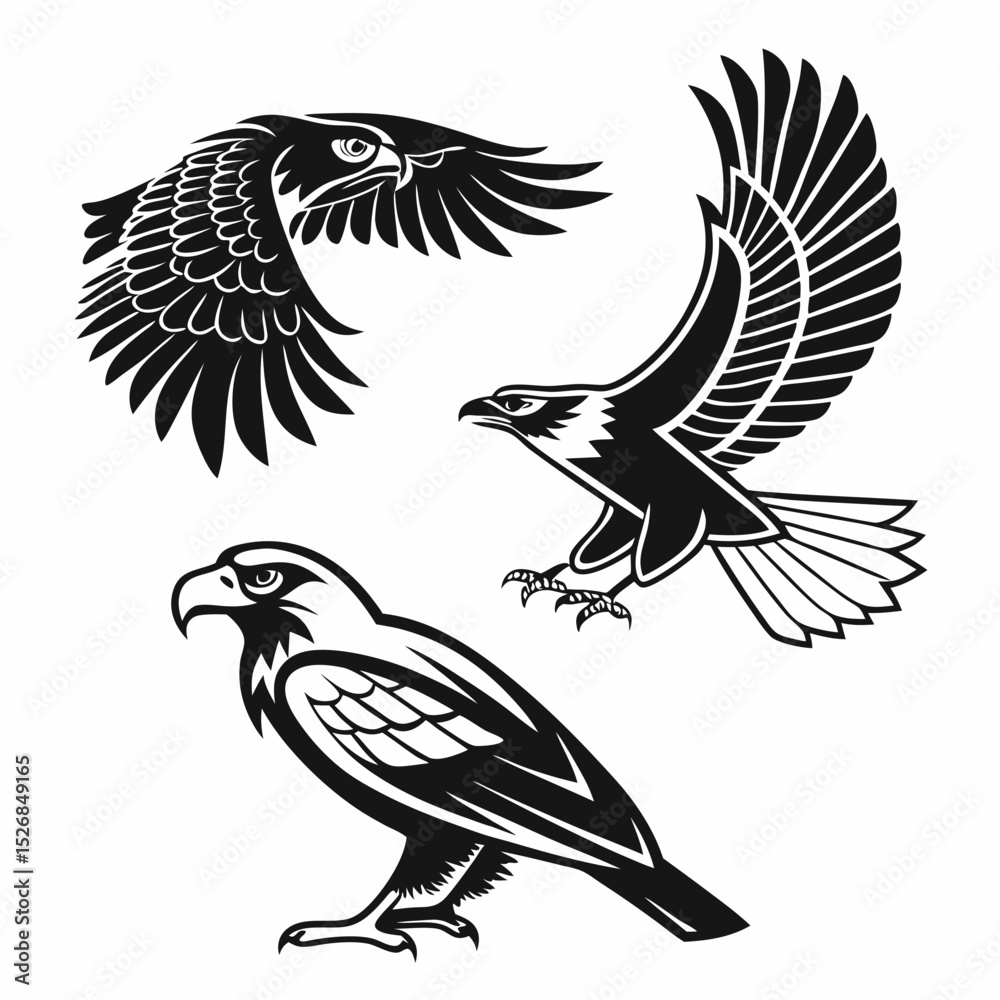Obraz premium Three black and white eagle and hawk designs