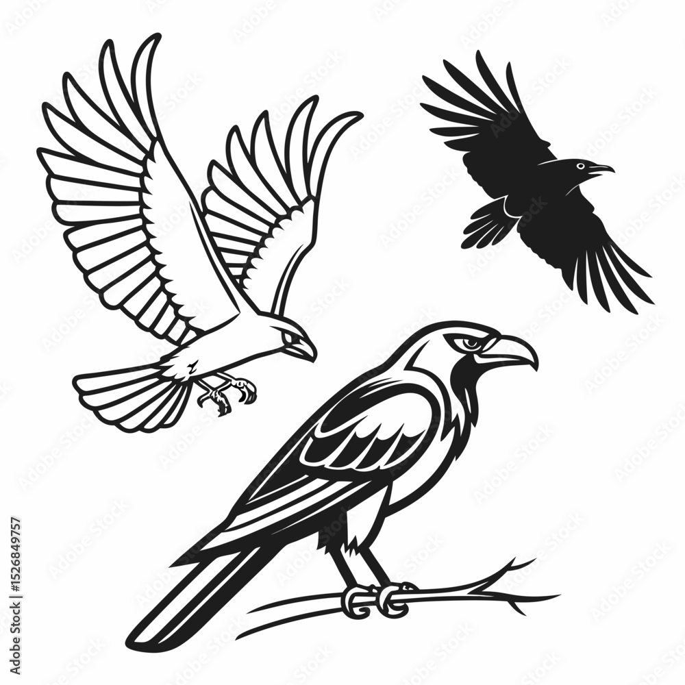 Obraz premium Majestic birds of prey eagle crow raven flight wildlife nature