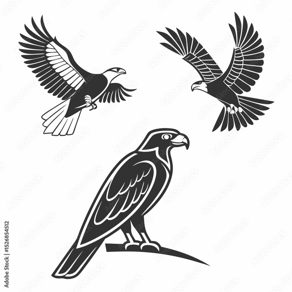 Obraz premium Majestic eagles and hawk birds of prey in flight and perched