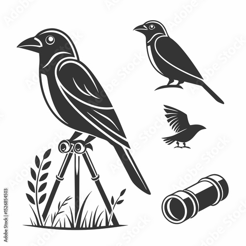 Birdwatching bird on tripod binoculars nature wildlife