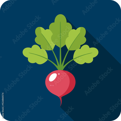 Vivid Red Radish with Green Leaves Flat Design Icon on Dark Background.