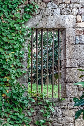 Ancient stone wall with barred window, partially covered by lush English ivy. Rustic medieval architecture meets nature as greenery reclaims the structure, framing a garden view beyond
