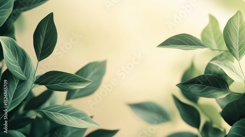 Fresh green leaves on soft pastel background for natural and eco-friendly designs