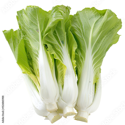 Fresh Bok Choy On White.