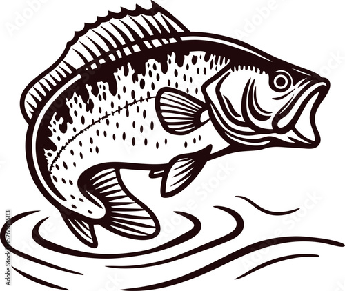 Jumping largemouth bass illustration in vintage engraved with water splash elements