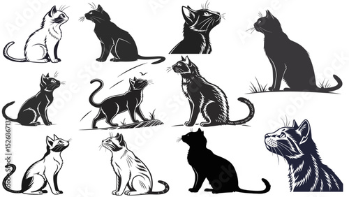Cat Silhouette on Transparent Background – Pet Animal Vector Illustration

