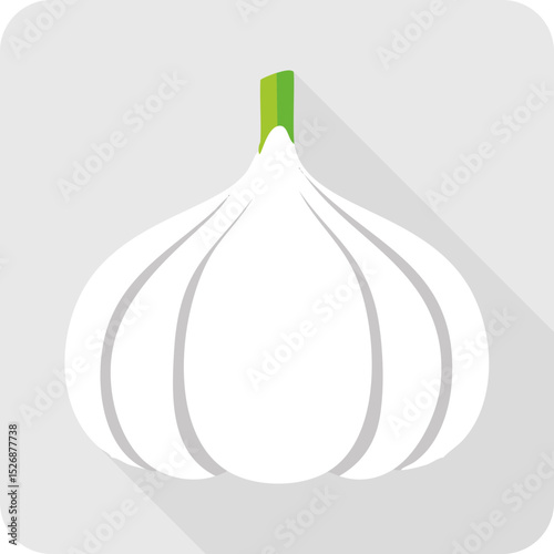 Flat Illustration of a Whole Garlic Bulb on Gray Background.