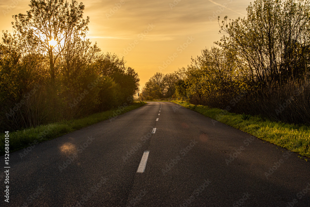 Fototapeta premium road in summertime