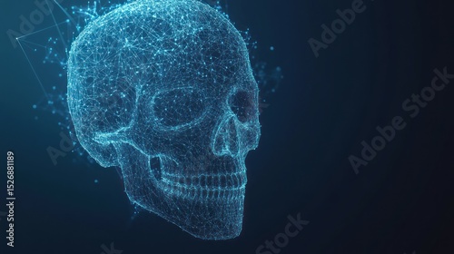 Digital skull, connected structure