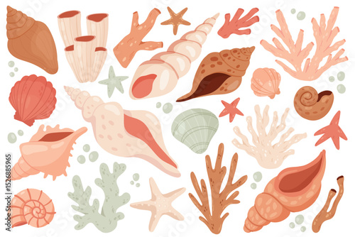 Seashell cute marine set vector illustration. Cartoon underwater shell object collection from sea ocean bottom, beach or aquarium, starfish coral mollusk clam conch spiral snail isolated on white