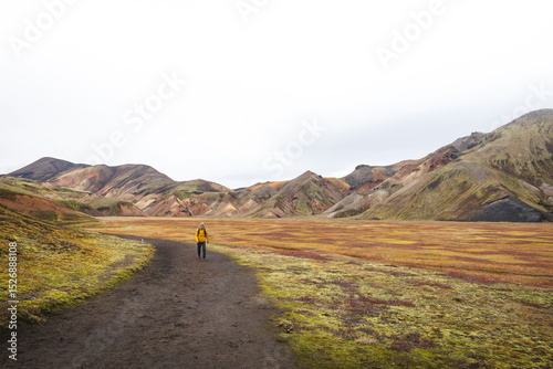 Hiker walks along a dirt path through the colorful rhyolite mountains of Landmannalaugar in Icelands Highlands, a peaceful journey into wild volcanic beauty