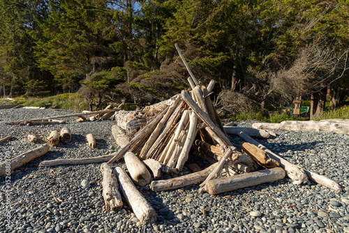 driftwood on the beach
