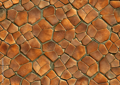Terracotta mosaic tile pattern.