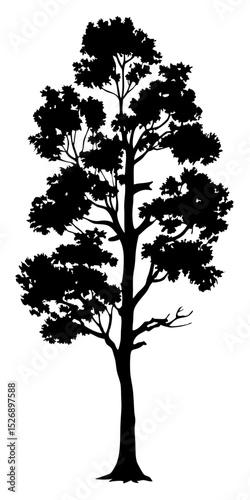 Transparent background vector of black pine fir spruce trees, isolated evergreen forest silhouettes


