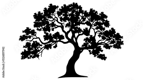 Isolated black pine fir spruce tree silhouette vector, evergreen forest nature icons, transparent background clipart

