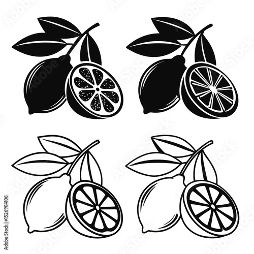 Black and White Lemon Illustration Set