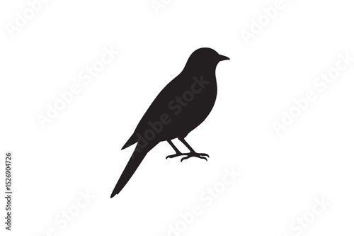 Cuckoo silhouette on white background.01