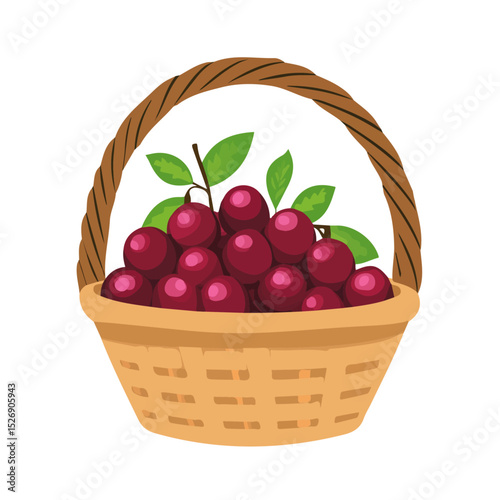 2D flat Hackberry Fruit Basket vector illustration, isolated on a white background.