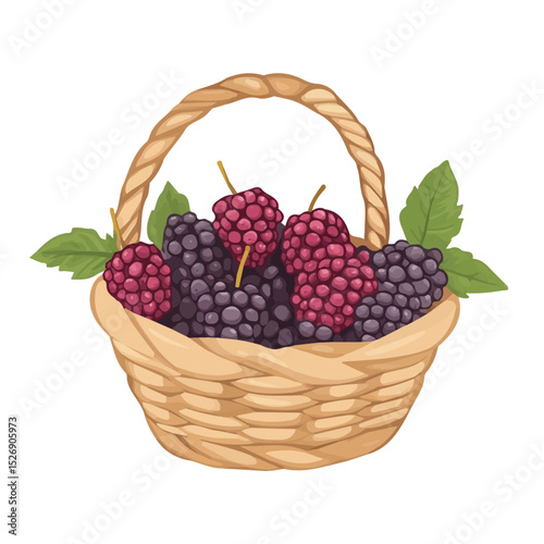 Hackberry Fruit Basket illustration vector 2D flat, isolated on a white background.