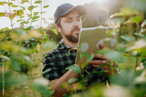 Monitoring orchard health with smart farming technology.