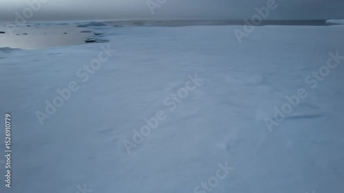Ice floes stretch across a vast expanse of frigid water, illuminated by a pale dawn.  Patches of ice reflect the soft light