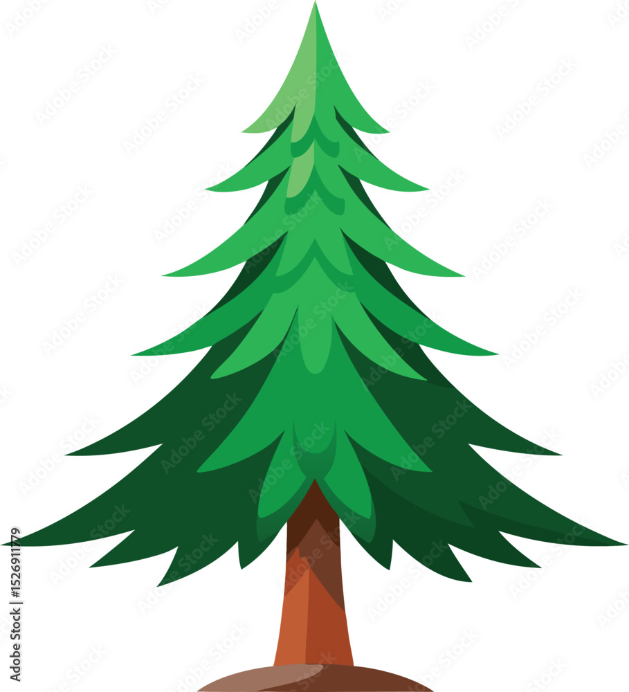 Fototapeta premium Majestic Evergreen Pine Tree Outdoors.