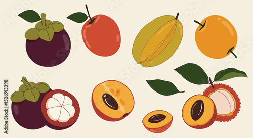 Vibrant Tropical Fruit Illustration Mangosteen, Plum, Starfruit, and Lychee