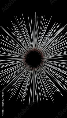 Radiating lines create a striking visual pattern against a dark background in an artistic display