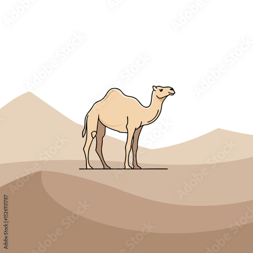 Camel in the desert landscape