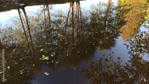 Autumn landscape. Dry leaves fall on water surface of river