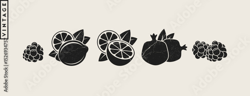 Fruit vector. Vintage style lemon lime pomegranate raspberry and orange fruit. Vegan food icon